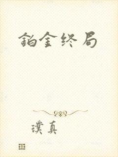 铂金终局封面