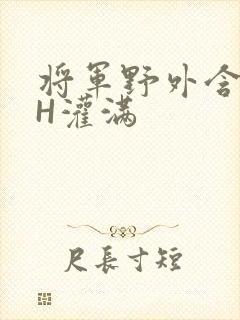 将军野外含公主H灌满
