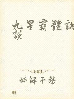 九星霸体诀 小说