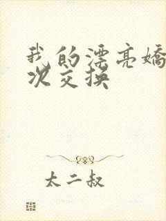 我的漂亮娇妻初次交换