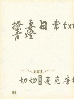 撩妻日常txt青灯封面