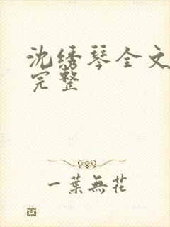 沈绣琴全文阅读完整