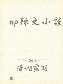 np辣文小说封面