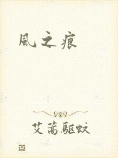 风之痕封面