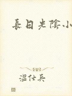 长日光阴小说