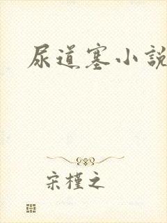 尿道塞小说