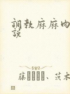 调教麻麻肉便小说