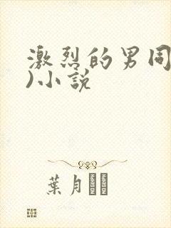 激烈的男同(h)小说封面