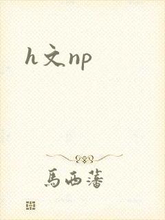 h文np封面