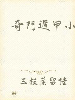 奇门遁甲小说