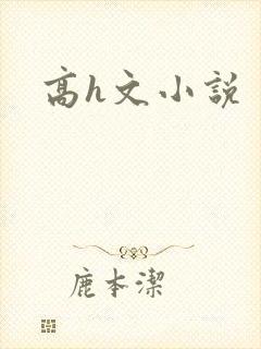 高h文小说