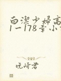 白洁少妇高义第1一178章小说封面