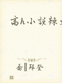 高h小说辣文