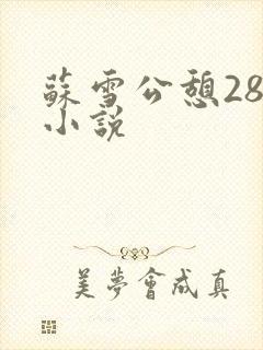 苏雪公憩28篇小说