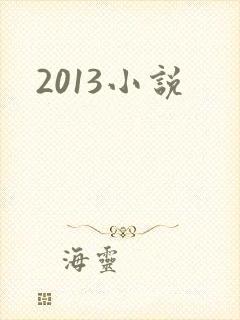 2013小说