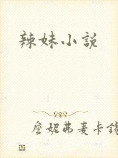 辣妹小说