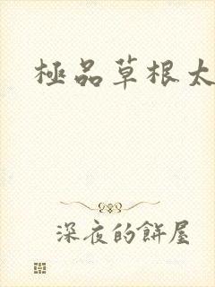 极品草根太子