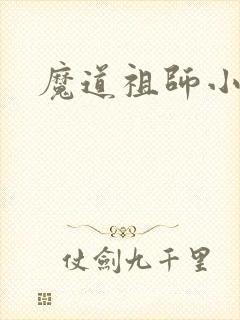 魔道祖师小说