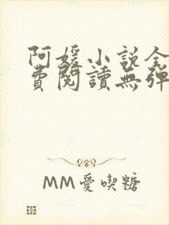 阿媛小说全文免费阅读无弹窗笔趣阁