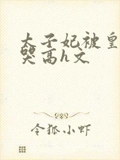 太子妃被皇上c哭高h文