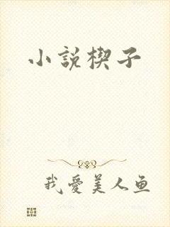 小说楔子封面