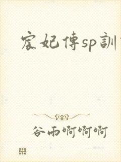 宸妃传sp训诫封面