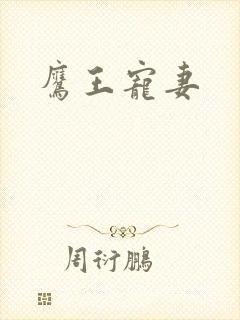 鹰王宠妻