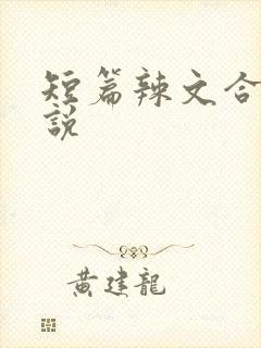 短篇辣文合集小说封面