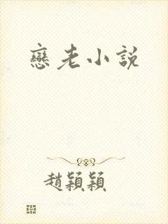 恋老小说