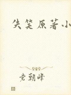失笑原著小说
