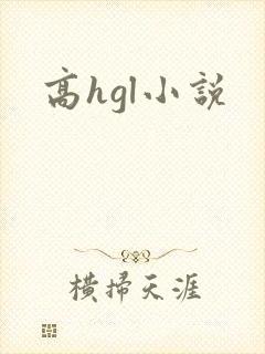 高hgl小说封面