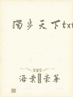 独步天下txt