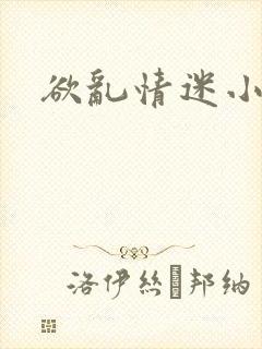 欲乱情迷小说封面