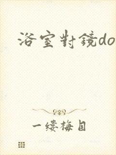 浴室对镜doi封面