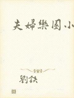 夫妇乐园小说