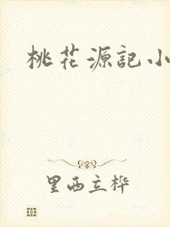 桃花源记小说封面