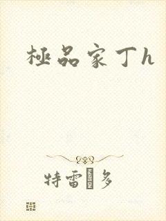 极品家丁h