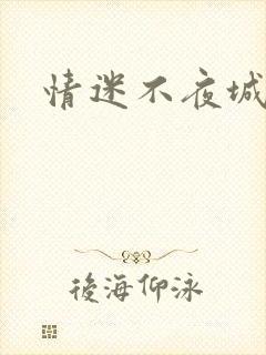 情迷不夜城