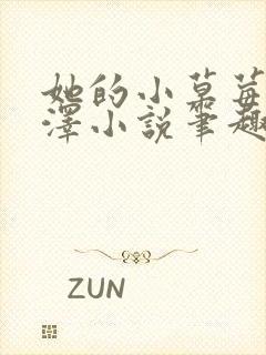 她的小草莓魏承泽小说笔趣阁