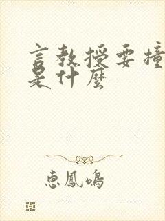 言教授要撞坏了是什么