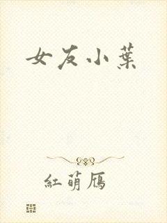 女友小叶封面