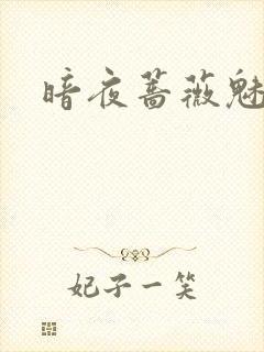 暗夜蔷薇魅封面