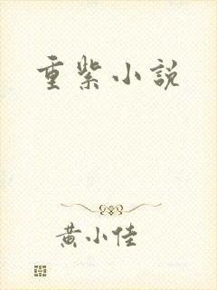 重紫小说