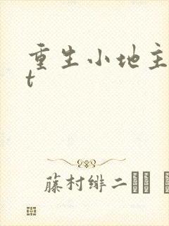 重生小地主txt
