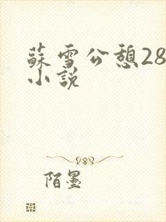 苏雪公憩28篇小说封面