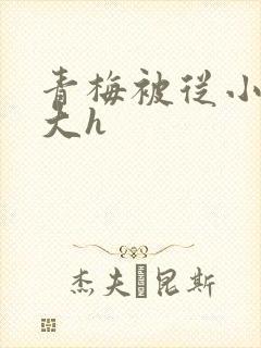 青梅被从小摸到大h封面