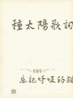 种太阳歌词封面