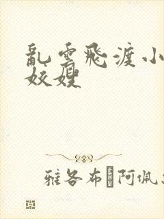 乱云飞渡小说之姣嫂封面