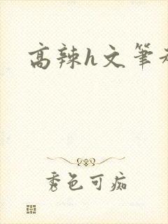 高辣h文笔趣阁