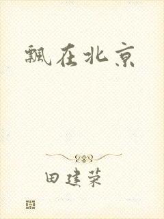 飘在北京